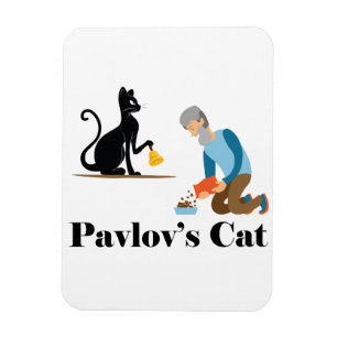 Íman Psicologia Gata de Pavlov