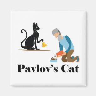Íman Psicologia Gata de Pavlov