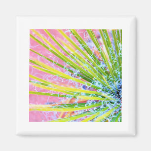 Íman Psychedelic Yucca