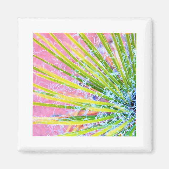 Íman Psychedelic Yucca (Frente)