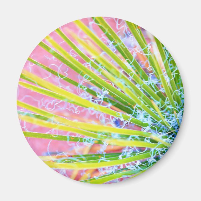 Íman Psychedelic Yucca (Frente)