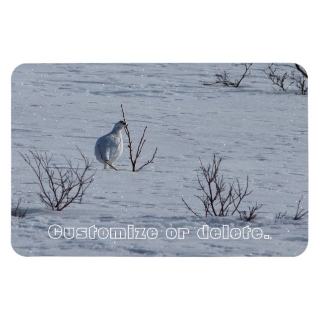 Íman Ptarmigan Snacking; Personalizável (Horizontal)