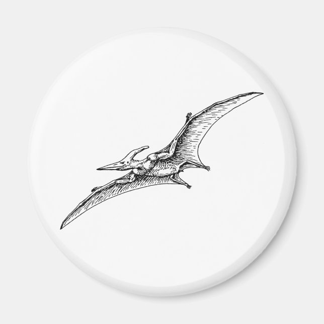 Íman Pterodactilo (Frente)