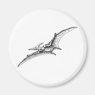 Íman Pterodactyl