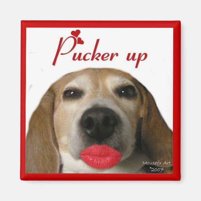 Íman Pucker Up Beagle Magnet (Frente)
