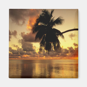 Íman Puerto Vallarta