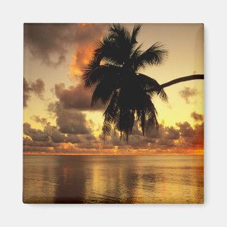 Íman Puerto Vallarta