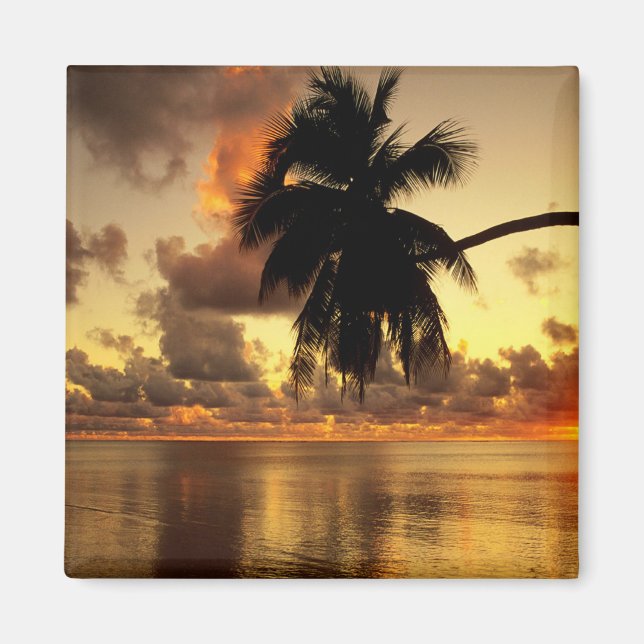 Íman Puerto Vallarta (Frente)