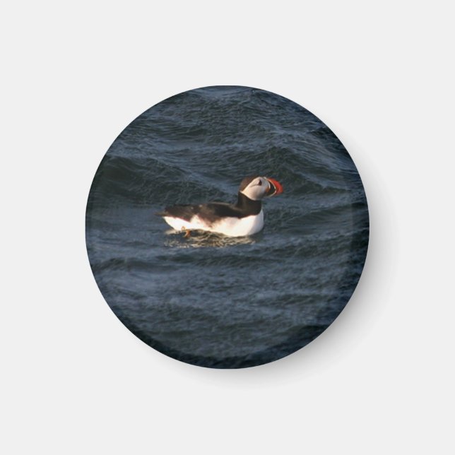 Íman Puffin Magnet (Frente)