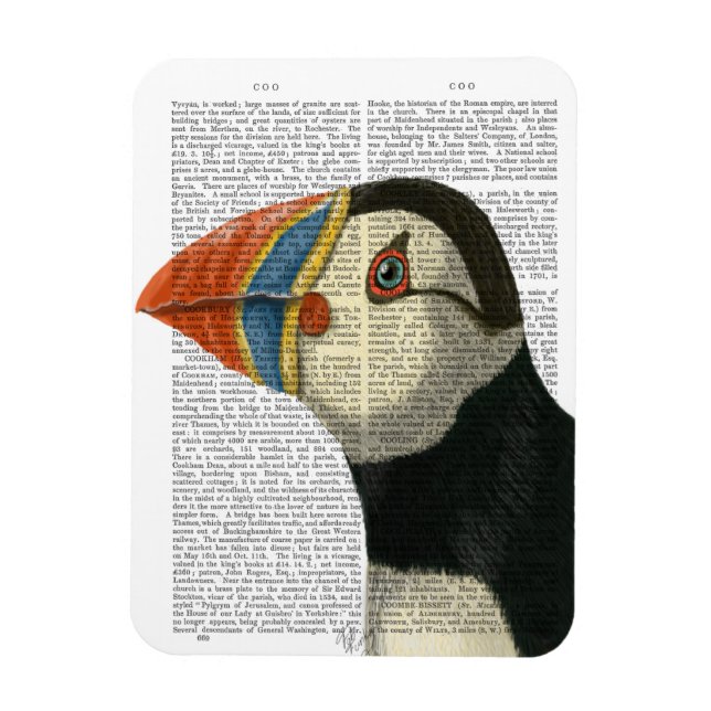 Íman Puffin Retrait (Vertical)