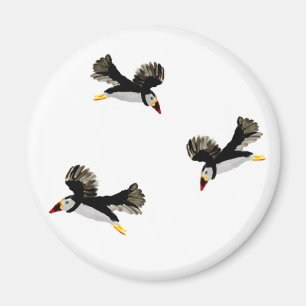 Íman Puffins na Arte das Aves Costeiras de Voo