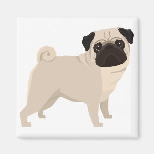 Íman Pug