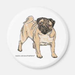 Íman Pug