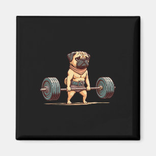 Íman Pug Bodybuilder Gym Humor Pesar Workout M