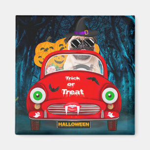 Íman Pug Cão Dirigindo Carro Assustador Halloween