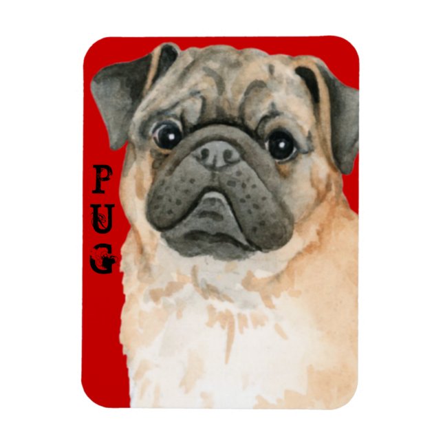 Íman Pug Color Block (Vertical)