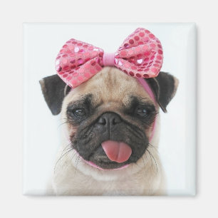 Íman Pug com Arco rosa