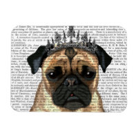 Pug Com Tiara