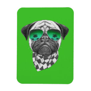 Íman Pug de Miami