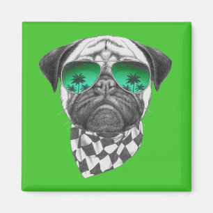 Íman Pug de Miami