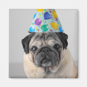 Íman Pug de Partido