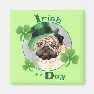 Íman Pug do dia de St Patrick