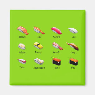 Íman Pug dog amante de os animais