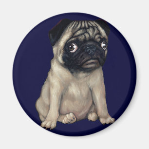 Íman Pug Dog Magnet