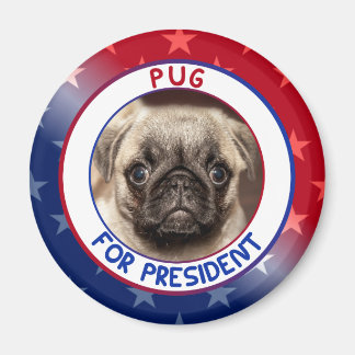 ÍMAN PUG FOR PRESIDENTE