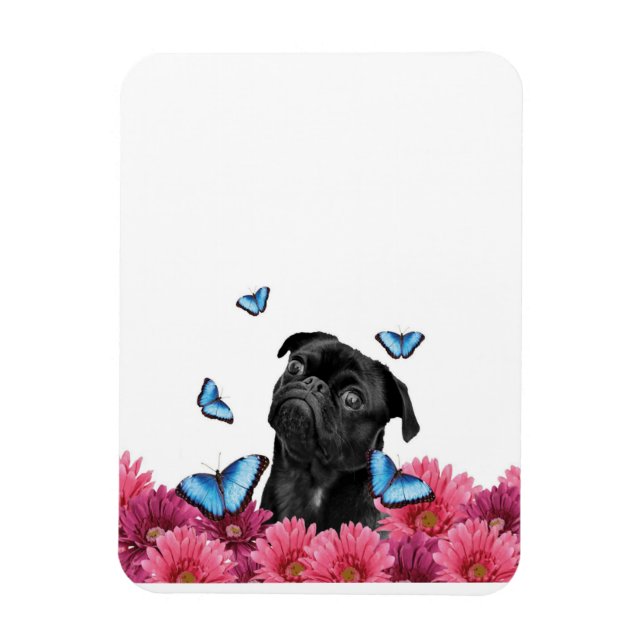 Íman Pug Gerbera Butterflies | Cachorro Negro (Vertical)
