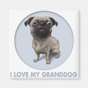 Íman Pug Granddog