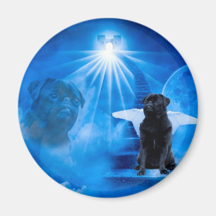 Íman Pug in Heaven as Angel Sympathy