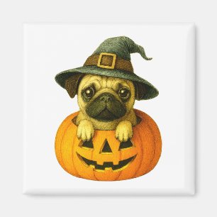 Íman Pug in Pumpkin