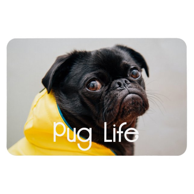 Íman "Pug Life" (Vida Útil) Imagem Fotográfica Totalmen (Horizontal)