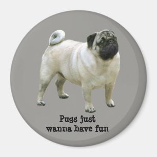 Íman Pug Magnet