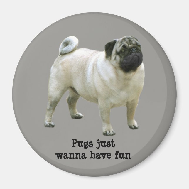 Íman Pug Magnet (Frente)