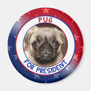 ÍMAN PUG PARA O PRESIDENTE