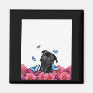 Íman Pug Preto Com Borboletas Azuis E Gerberas