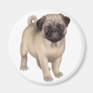 Íman Pug Puppy Round Magnet