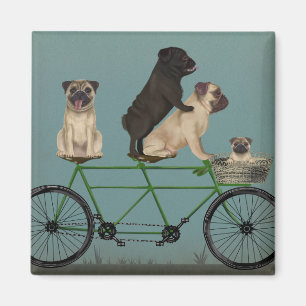 Íman Pug Tandem