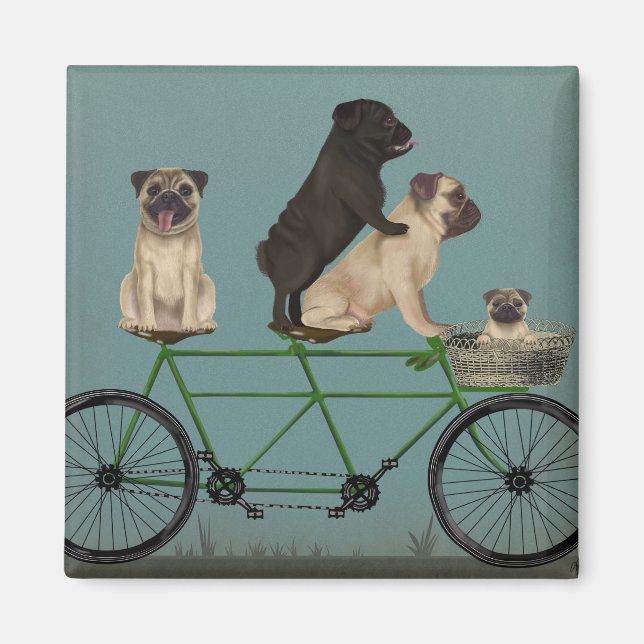 Íman Pug Tandem (Frente)