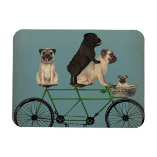 Íman Pug Tandem