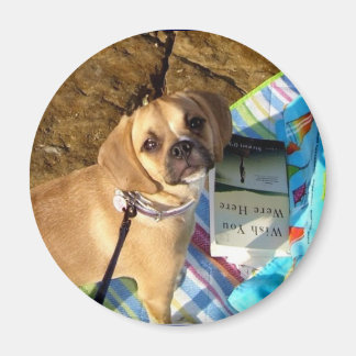 Íman Puggle