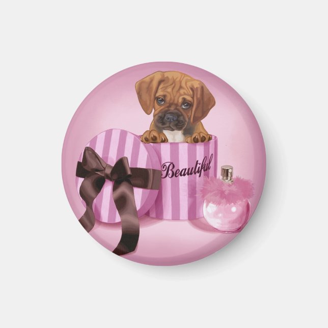 Íman Puggle em Stripy Round Box (Frente)