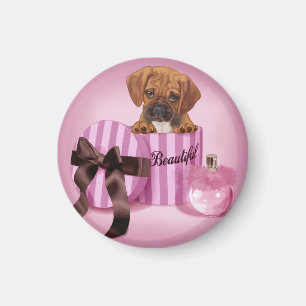 Íman Puggle na caixa redonda Stripy