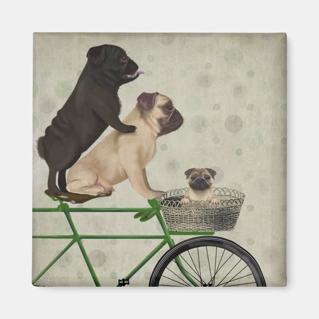 Íman Pugs na Bicicleta (Frente)
