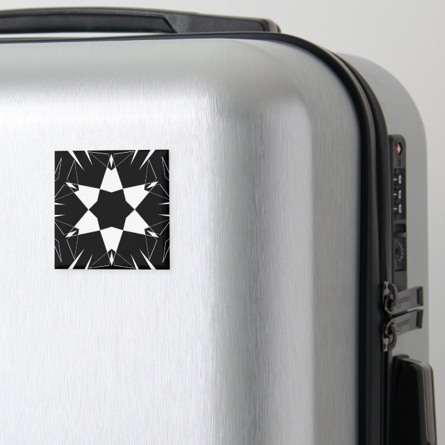 Íman Pulso Monocromático (In Situ (Luggage))
