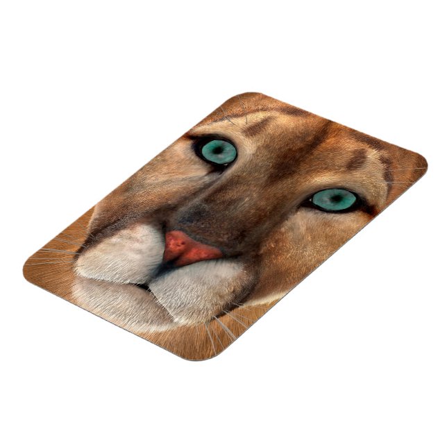 Íman Puma (Left Side)