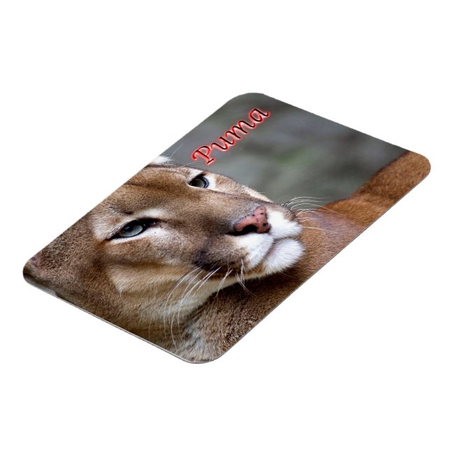 Íman Puma argentina - (Left Side)