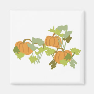 Íman Pumpkin Patch